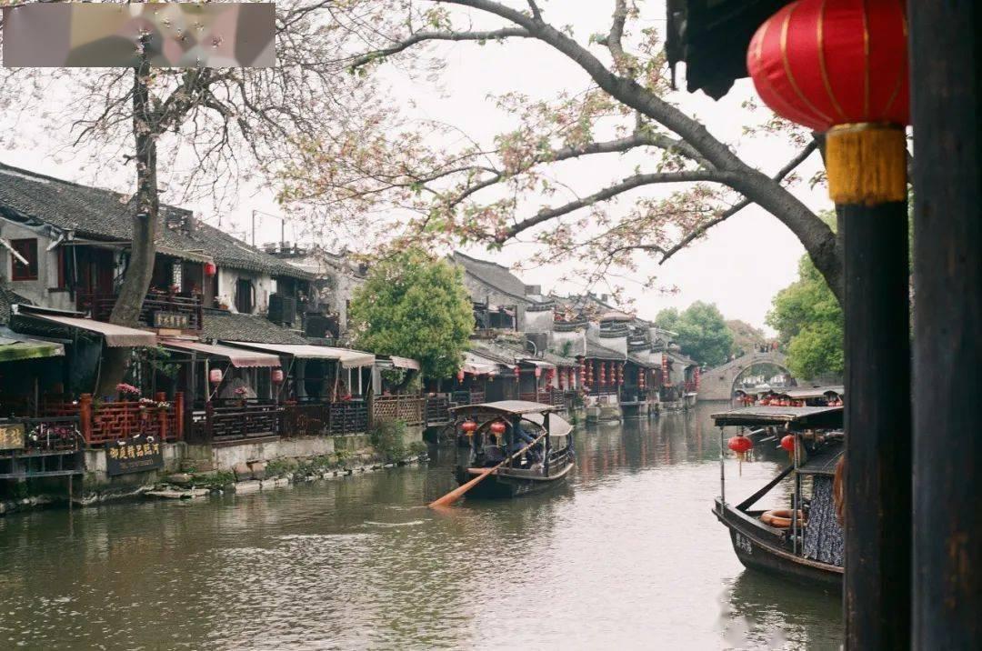 新春走基层丨佳节近春意浓  农贸市场年味足